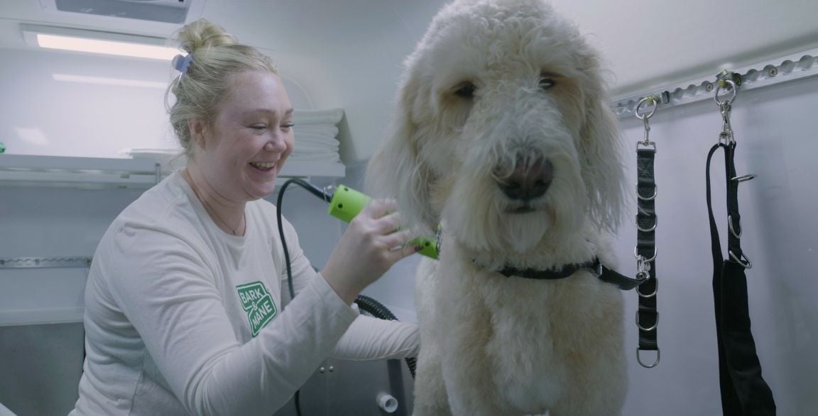 Thumbnail Image for Why a Pet Grooming Franchise Is a Smart Investment Today