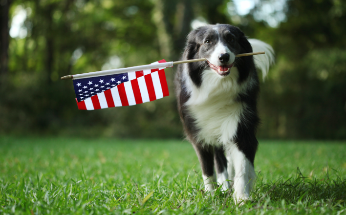 making-franchising-accessible-to-veterans-708x440